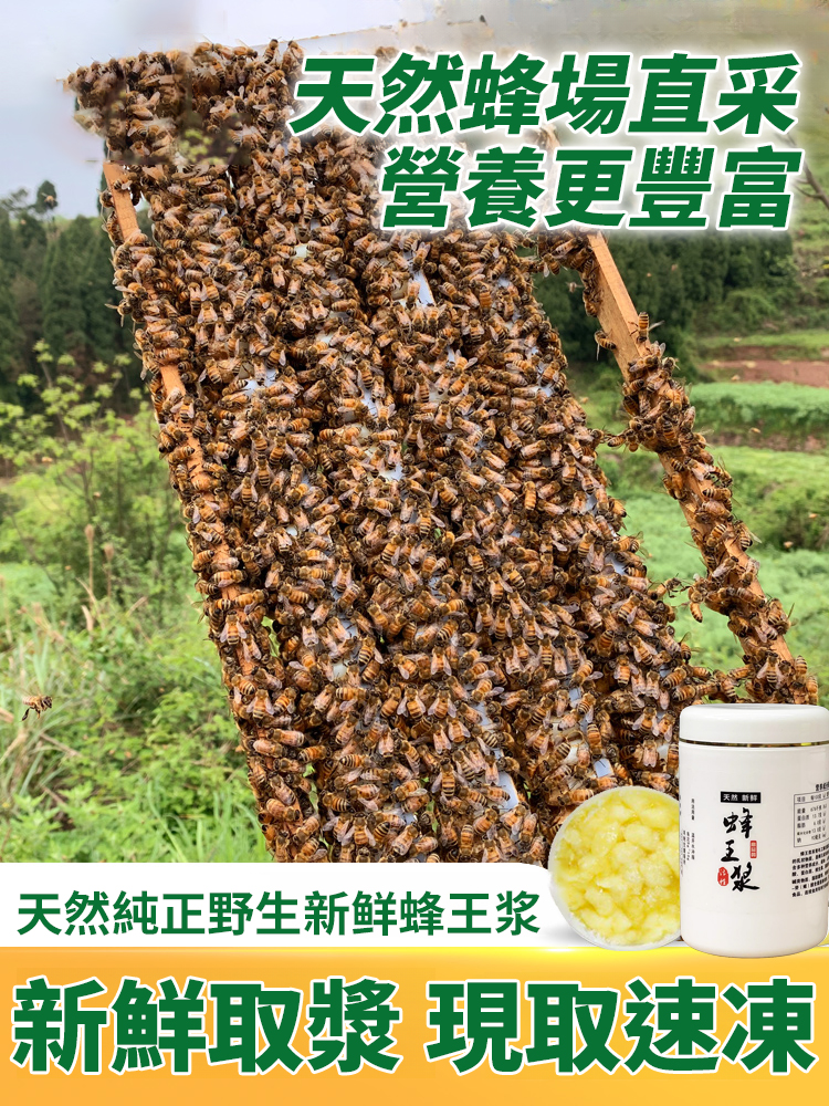 新鮮天然正宗純正野生蜂王漿