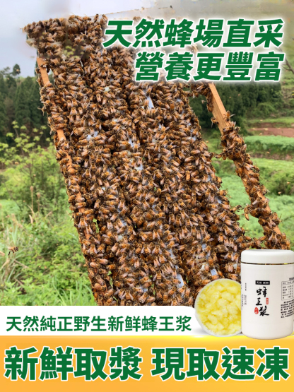 新鮮天然正宗純正野生蜂王漿