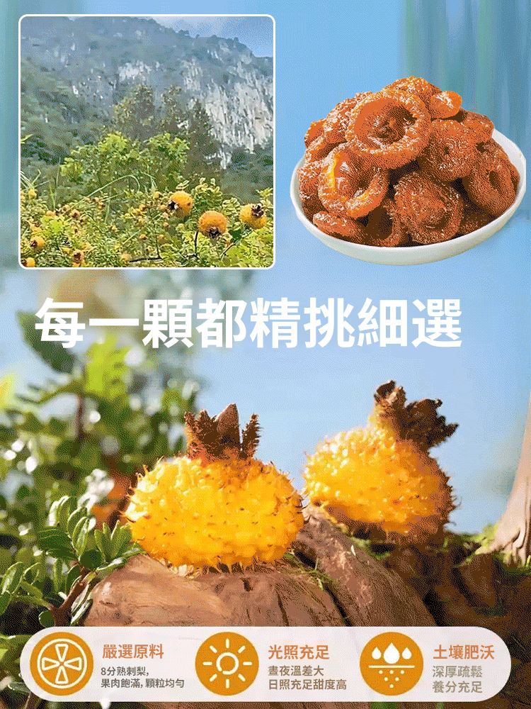 【狂降三高潤肺止咳】貴州野刺梨乾