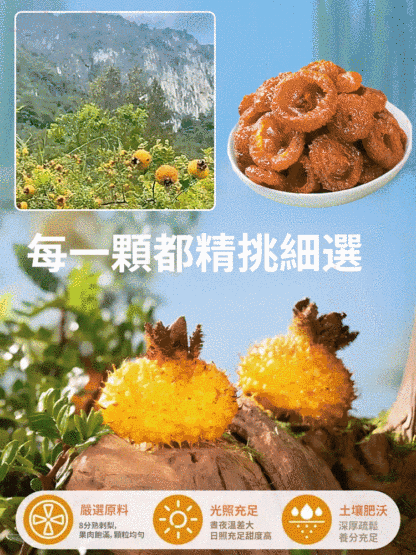 【狂降三高潤肺止咳】貴州野刺梨乾