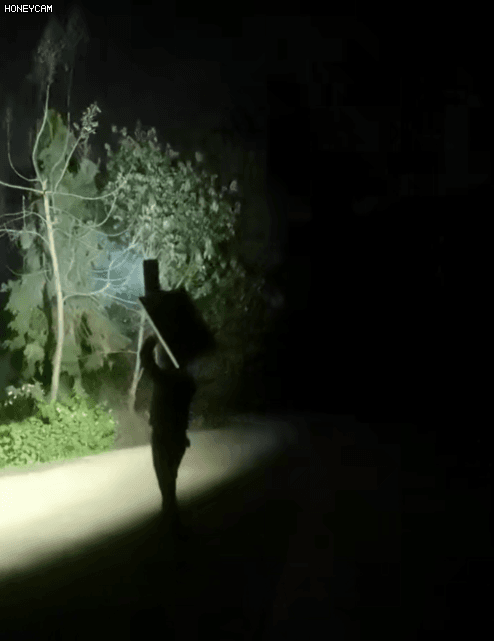 02.gif