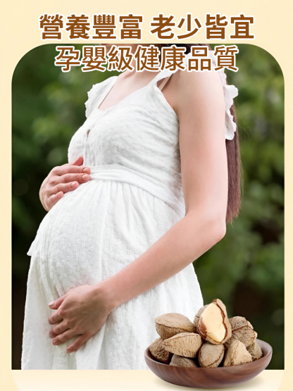 【堅果之王】原味巴西沙漠鮑魚果