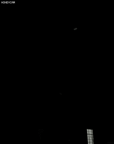 03.gif