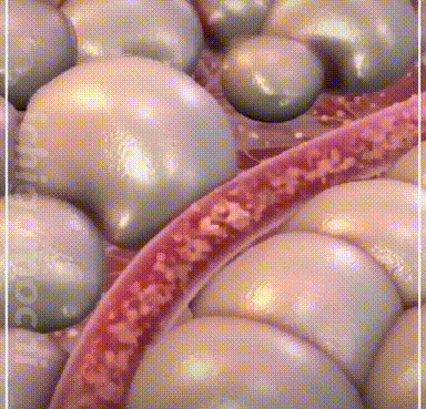 fd8682713b1711aec16ef5cc71f622b3.gif