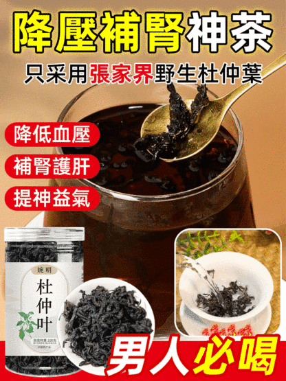 【降血壓補腎】野性嫩葉杜仲葉茶