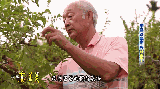 1541499309746894.gif