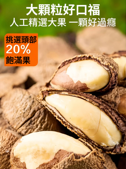 【堅果之王】原味巴西沙漠鮑魚果