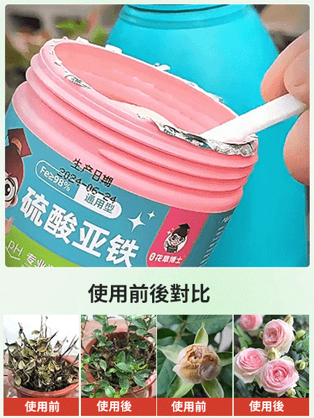 【爆盆開花】新款硫酸亞鐵土壤光合肥