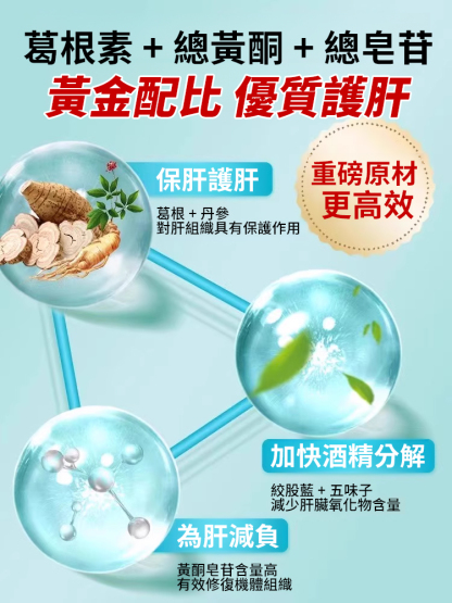 養肝護肝絞股藍丹參葛根膠囊