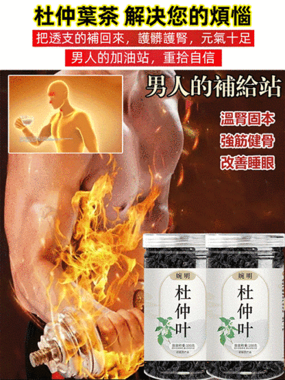 【降血壓補腎】野性嫩葉杜仲葉茶