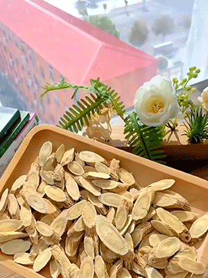 罐裝現磨黃耆黨參豆漿粉