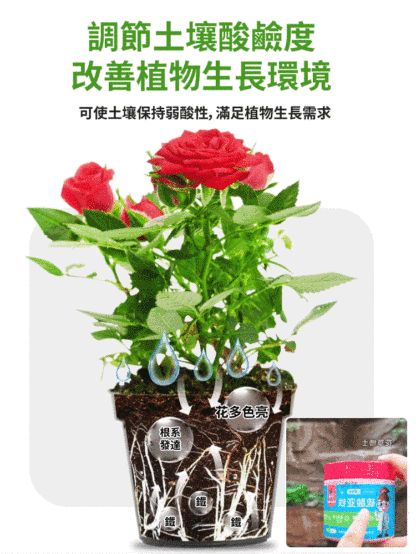 【爆盆開花】新款硫酸亞鐵土壤光合肥