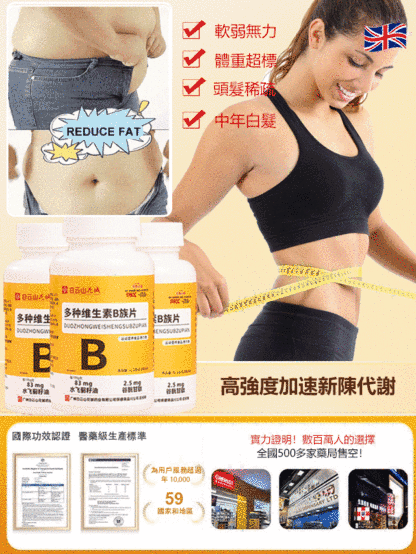 【提高代謝 】複合多種維B飛薊籽片