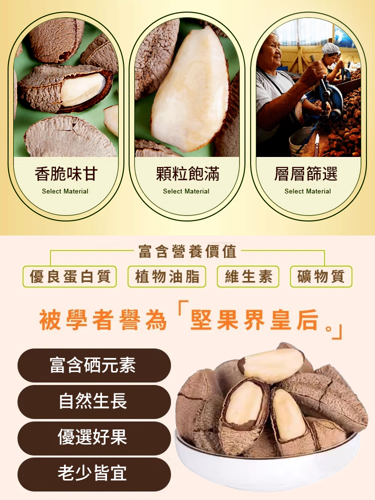 【堅果之王】原味巴西沙漠鮑魚果