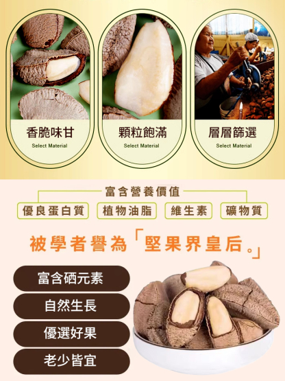 【堅果之王】原味巴西沙漠鮑魚果