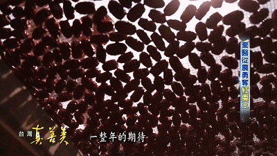 2017.09.03【台灣真善美】棄醫從農勇奪'紅棗王'_20181223124151.gif