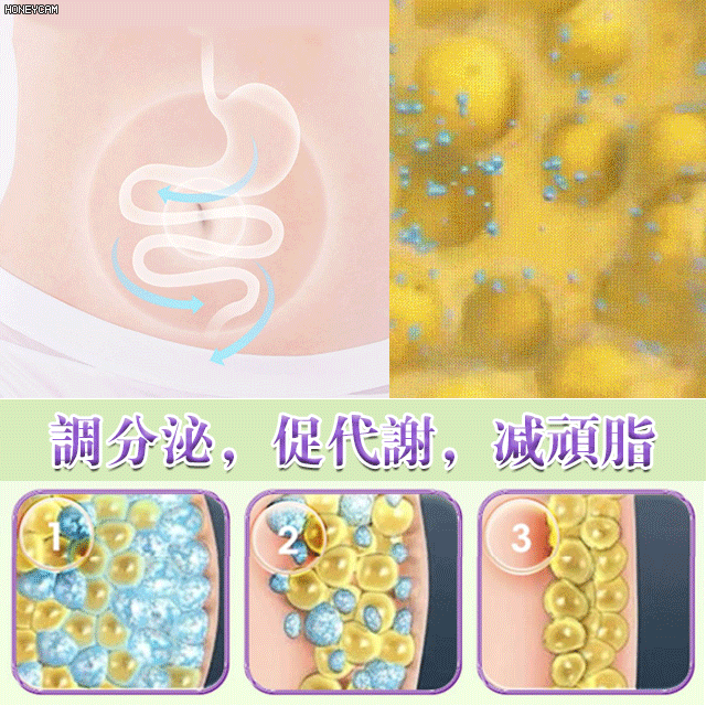  自然風乾新疆西梅乾