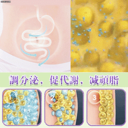  自然風乾新疆西梅乾