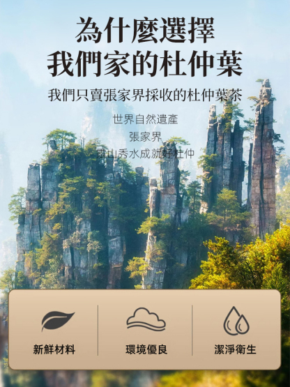 【降血壓補腎】野性嫩葉杜仲葉茶