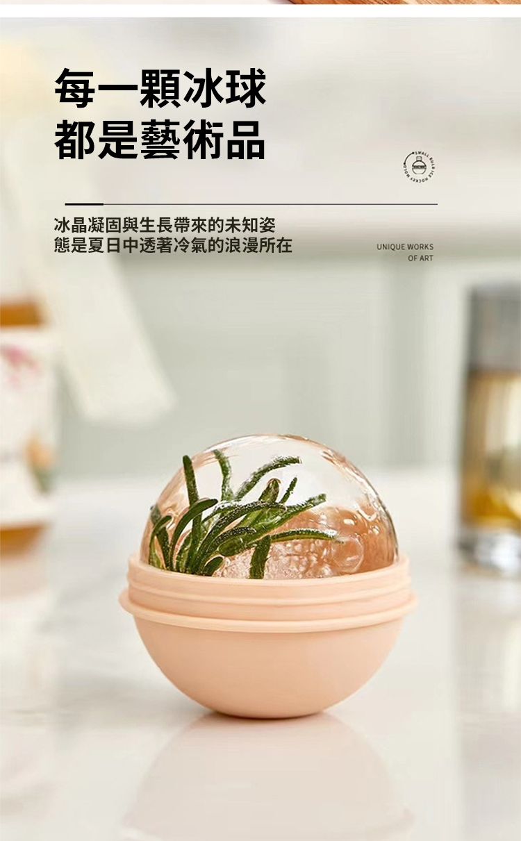 翻译件-X2022060201Gc-灯泡冰球模具-1000438-系统_19.jpg