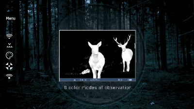 5.gif