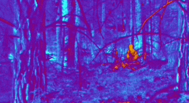 8.gif