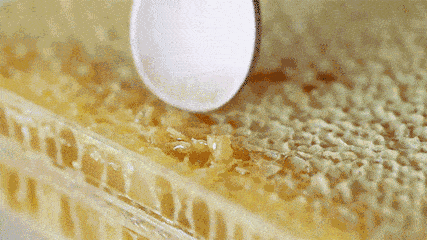 t0127ceaa5b0155f9bb.gif