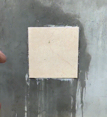 1635924723647575.gif