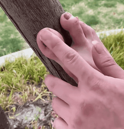 Honeycam 2024-10-24 17-20-36.gif