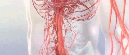20240828_100227_191.gif
