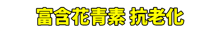未标题-2.jpg
