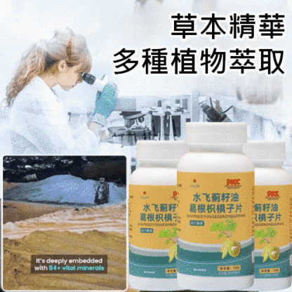 葛根枳椇子片