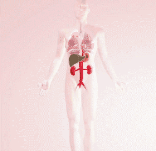 123_18.gif