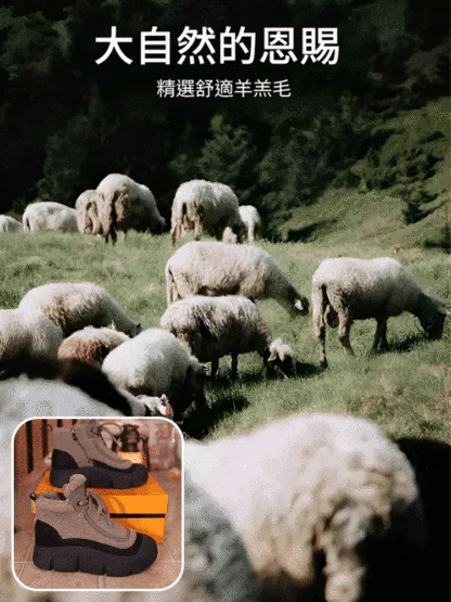 增高4cm厚底羊羔絨防滑短靴
