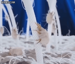 Honeycam 2024-10-07 17-34-45.gif