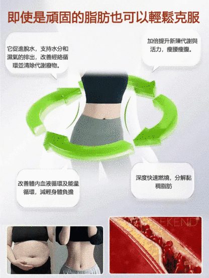 黑芝麻蔓越莓口味無花果派