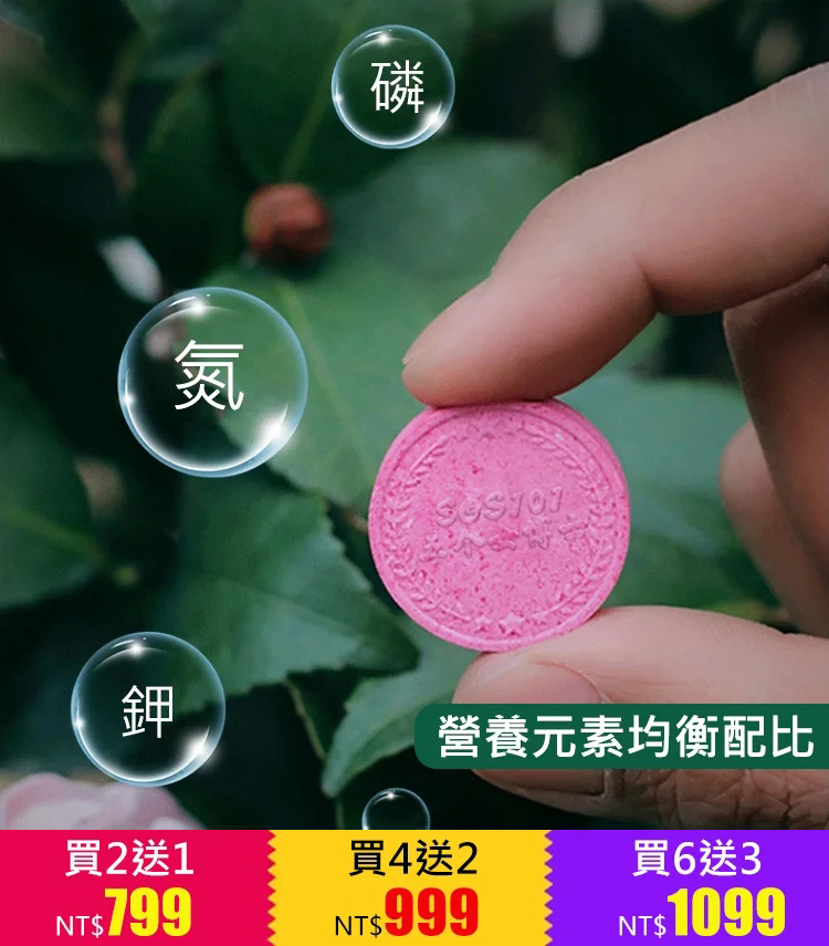 懶人養花神器花開爆滿盆植物通用緩釋肥