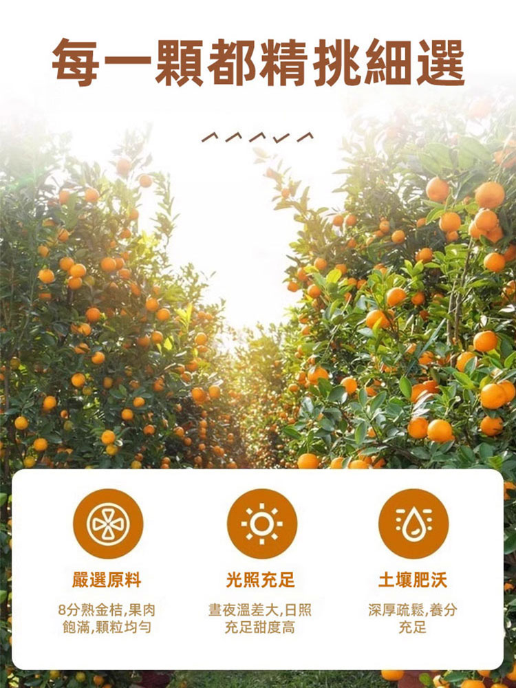 止咳良方甘草冰糖金桔果