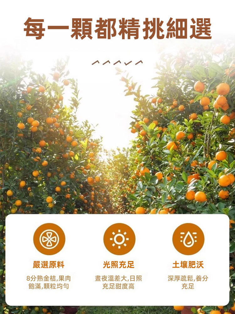 止咳良方甘草冰糖金桔果