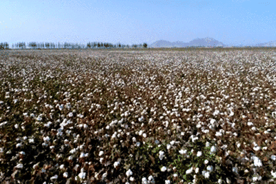6c4e1059582cbc6c22eed3f2b9d6e019.gif