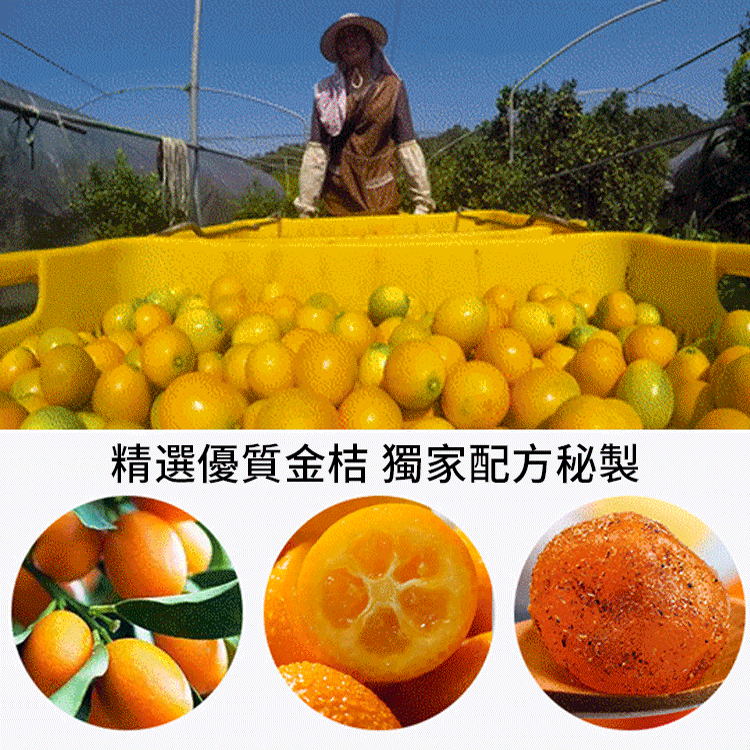 止咳化痰潤喉甘草金桔