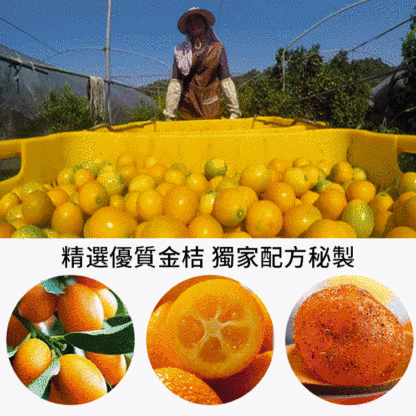 止咳化痰潤喉甘草金桔