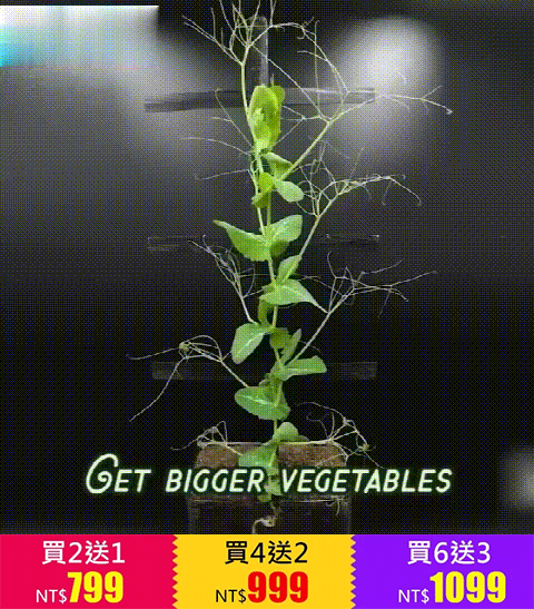 懶人養花神器花開爆滿盆植物通用緩釋肥
