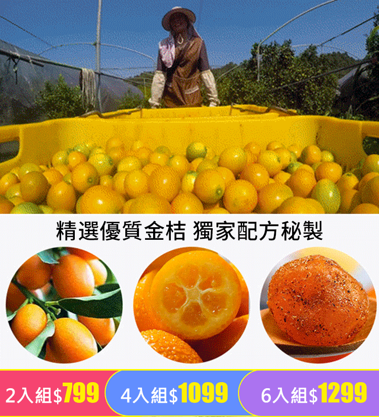 止咳化痰潤喉甘草金桔