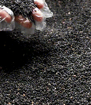 80cabe17-3bfa-4666-a449-29cd04b219f6.gif