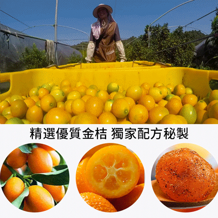 陳皮山藥甘草金桔