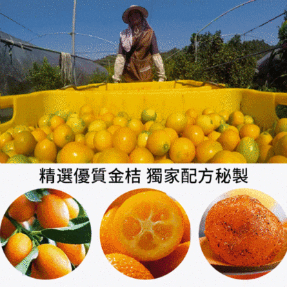 陳皮山藥甘草金桔