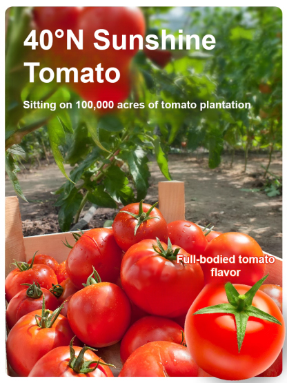 Ten Tomatoes and a Bowl of Soup】0Fat 0 Sugar Reduced Fat Tomato Soup