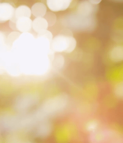02.gif