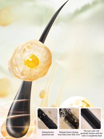 【Look Ten Years Younger】Herbal Foam Hair Dye